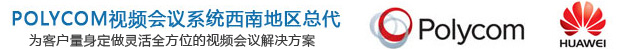 重慶視頻會(huì)議電話(huà)